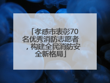 孝感市表彰70名优秀消防志愿者，构建全民消防安全新格局